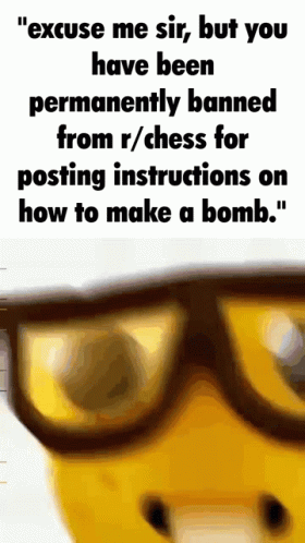 A Picture Of A Man With Glasses And The Words " Excuse Me Sir But You Have Been Permanently Banned From R / Chess GIF