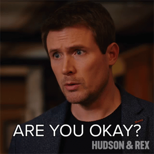 A Picture Of A Man With The Words Are You Okay Hudson & Rex GIF