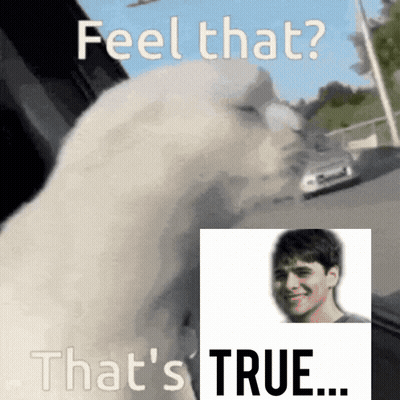 A Picture Of A Man With The Words Feel That That 'S True GIF