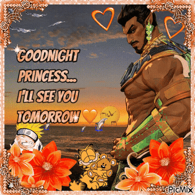 A Picture Of A Man With The Words Goodnight Princess I 'Ll See You Tomorrow On It GIF