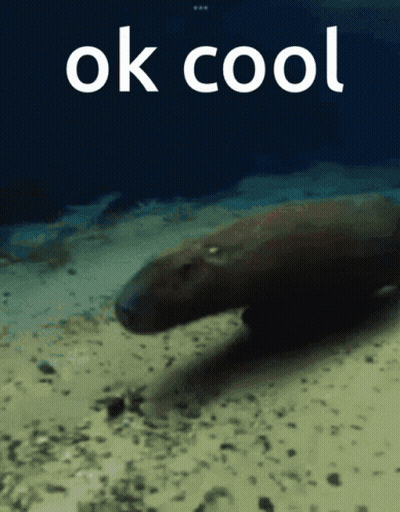 A Picture Of A Manatee In The Ocean With The Words Ok Cool Above It GIF