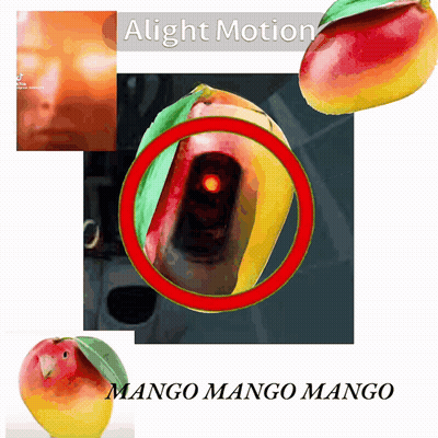 A Picture Of A Mango With A Red Circle Around It And The Words Alight Motion GIF