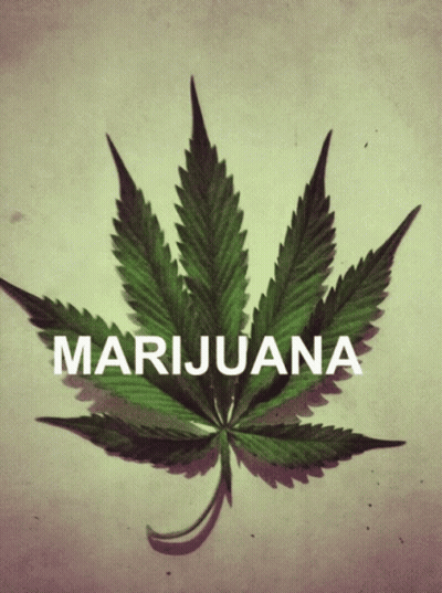 A Picture Of A Marijuana Leaf With The Word Marijuana Below It GIF