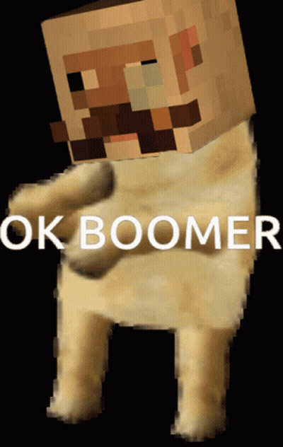 A Picture Of A Minecraft Character With The Words Ok Boomer Above It GIF