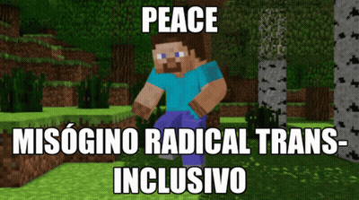 A Picture Of A Minecraft Character With The Words Peace Misogino Radical Trans Inclusive GIF