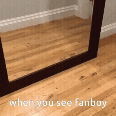 A Picture Of A Mirror With The Words When You See Fanboy GIF