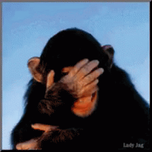 A Picture Of A Monkey Covering Its Face With Its Hand GIF
