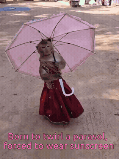 A Picture Of A Monkey Holding An Umbrella With The Caption Born To Twirl A Parasol GIF