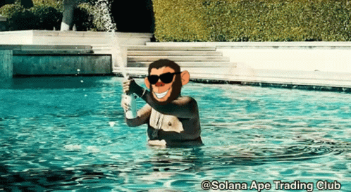 A Picture Of A Monkey In A Swimming Pool With The Words Solana Ape Trading Club Below It GIF