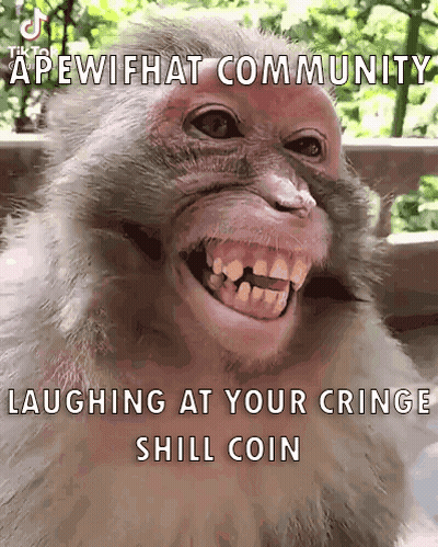 A Picture Of A Monkey With A Caption That Says " Apewihat Community Laughing At Your Cringe Still Coin " GIF