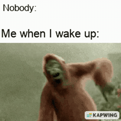 A Picture Of A Monkey With The Caption Nobody Me When I Wake Up . GIF