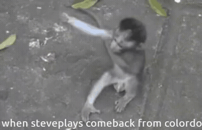 A Picture Of A Monkey With The Caption When Steve Plays Comeback From Colordo GIF