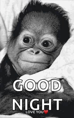 A Picture Of A Monkey With The Words Good Night Love You GIF