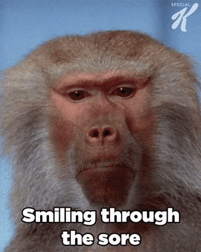 A Picture Of A Monkey With The Words Smiling Through The Sore On The Bottom GIF