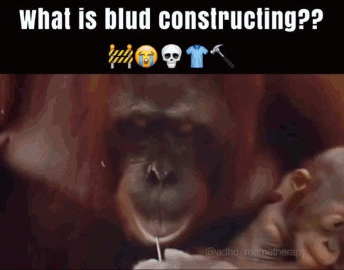 A Picture Of A Monkey With The Words What Is Blud Constructing On It GIF