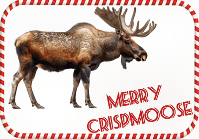 A Picture Of A Moose With Merry Crispmoose Written On It GIF
