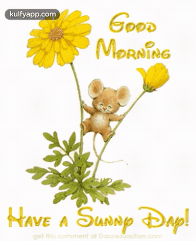 A Picture Of A Mouse Hanging From A Flower With The Words Good Morning Have A Sunny Day GIF