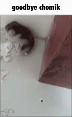 A Picture Of A Mouse Laying On The Floor With The Words Goodbye Chomik Below It GIF