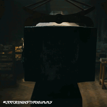 A Picture Of A Mummy In A Coffin With The Hashtag #Leecroninsthemummy GIF