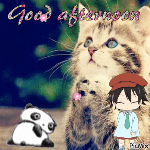 A Picture Of A Panda And A Cat With The Words Good Afternoon Written On It GIF