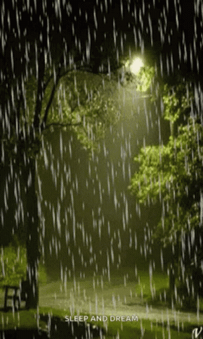 A Picture Of A Park In The Rain With The Words Sleep And Dream On The Bottom GIF