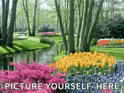 A Picture Of A Park With Flowers And Trees With The Words Picture Yourself Here GIF