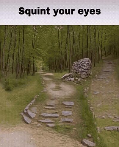 A Picture Of A Path In The Woods With The Words " Squirt Your Eyes " Below It GIF