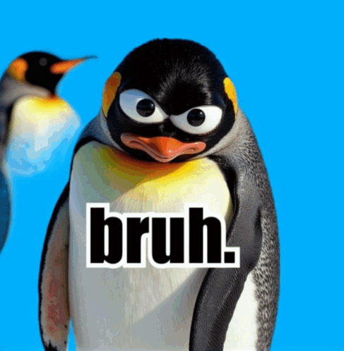 A Picture Of A Penguin With The Word Bruh Written On It GIF
