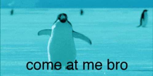 A Picture Of A Penguin With The Words Come At Me Bro GIF