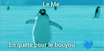A Picture Of A Penguin With The Words Le Me En Quete Pour Le Boyou Under It GIF