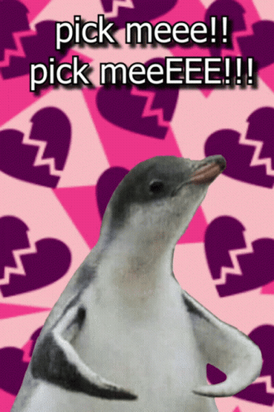 A Picture Of A Penguin With The Words Pick Meee And Pick Meeee On It GIF
