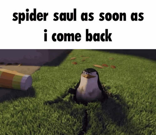 A Picture Of A Penguin With The Words Spider Saul As Soon As I Come Back Above It GIF