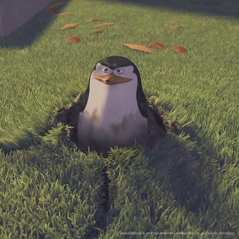 A Picture Of A Penguin With The Words " You Didn 'T See Anything " GIF