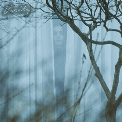 A Picture Of A Person Behind A Fence Has The Word Verity Written On It GIF