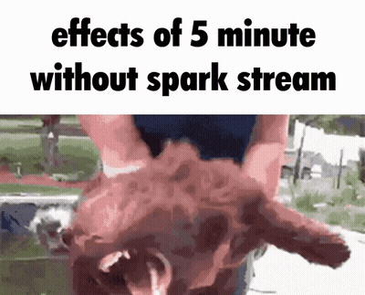 A Picture Of A Person Holding A Dog With The Words Effects Of 5 Minute Without Spark Stream GIF