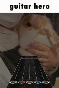 A Picture Of A Person Holding A Rabbit Next To A Guitar With The Word Guitar Hero On It GIF