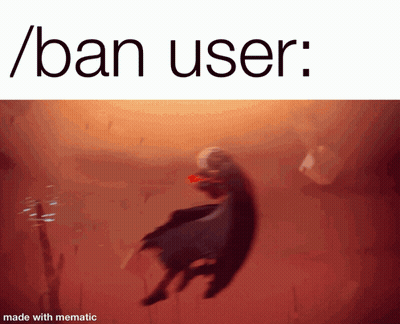 A Picture Of A Person In The Water With The Words / Ban User Below It GIF