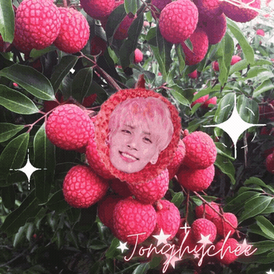 A Picture Of A Person 'S Face In A Bunch Of Lychees With The Name Tonghuchee GIF