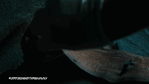 A Picture Of A Person 'S Hand With The Hashtag #Leecroningthemummy GIF