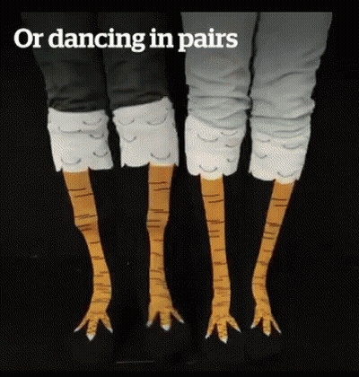A Picture Of A Person 'S Legs With The Words " Or Dancing In Pairs " GIF