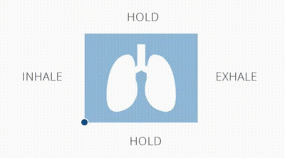 A Picture Of A Person 'S Lungs With The Words Inhale And Exhale GIF