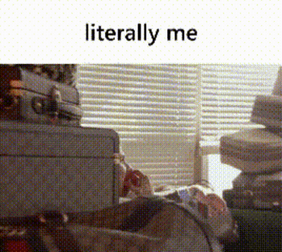 A Picture Of A Person Sitting In Front Of A Window With The Words Literally Me Below Them . GIF