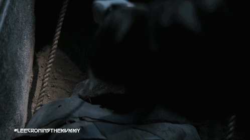 A Picture Of A Person With The Hashtag #Leetroninthemummy GIF