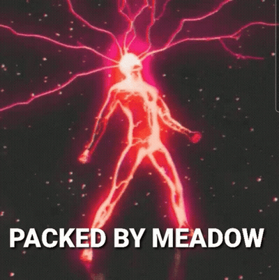 A Picture Of A Person With The Words Packed By Meadow GIF