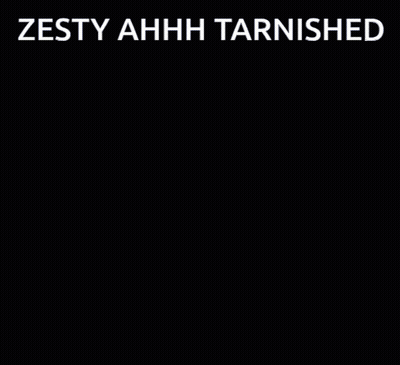 A Picture Of A Person With The Words Zesty Ahhh Tarnished Below Them GIF