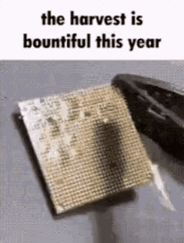 A Picture Of A Piece Of Metal With The Words `` The Harvest Is Bountiful This Year '' On It . GIF