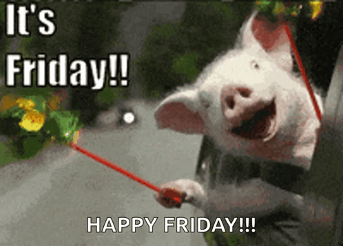 A Picture Of A Pig Holding A Red Stick That Says It 'S Friday Happy Friday GIF
