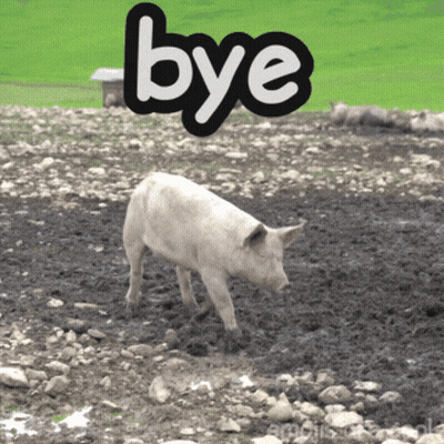 A Picture Of A Pig In A Muddy Field With The Word Bye Above It GIF