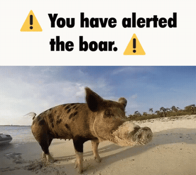 A Picture Of A Pig On A Beach With The Words " You Have Alerted The Boar " Above It GIF