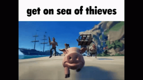 A Picture Of A Pig Running On A Beach With The Words Get On Sea Of Thieves GIF